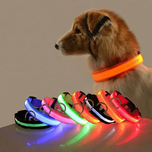 Flashing Glow Dog Collar/ Collar Para Perro con luz intermitente